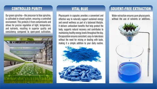 Vista 3 de PHARMAKON Blue Spirulina Phycocyanin Superalimento prebiótico, bioactivo Extracción sin disolventes (90 unidades)