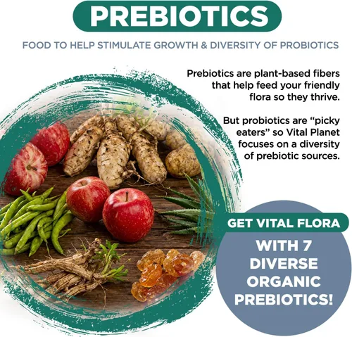 Vista 5 de Vital Planet - Probióticos Vital Flora para hombres, 60 mil millones de UFC, 60 cepas diversas, 7 prebióticos orgánicos, probióticos diarios