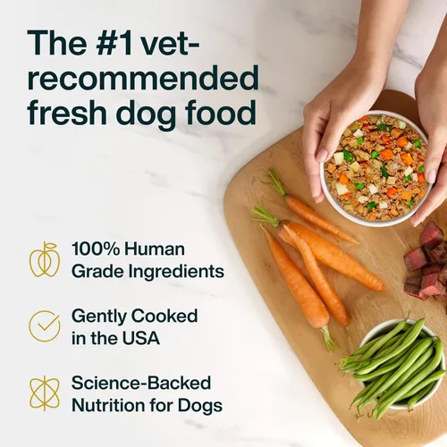 Vista 3 de JustFoodForDogs Comida Congelada Fresca para Perros, Comida Completa o Complemento, Receta de Carne de Res y Papa Russet de Grado Humano, 18 oz