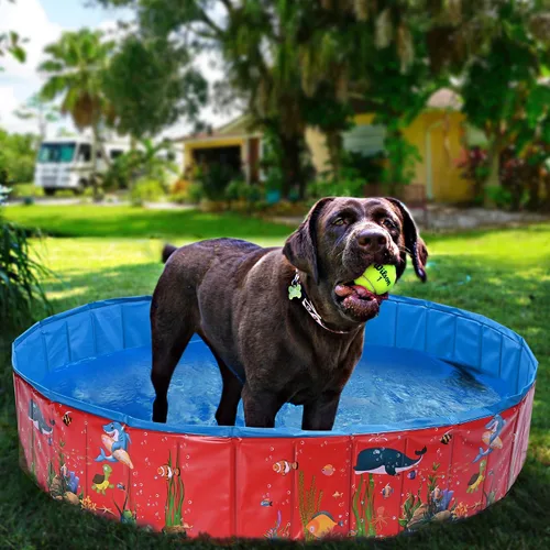 Vista 7 de Yescom Piscina plegable para perros Piscina dura Kiddie Pet Cooling Bañera