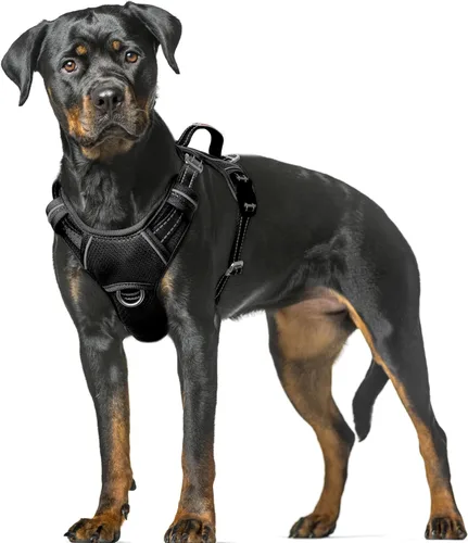 Vista 46 de BARKBAY Arnés para Perro Sin Tirones Talla Grande Arnés Reflectante para Perro con Clip Frontal y Asa de Control Fácil para Caminar Entrenar Correr