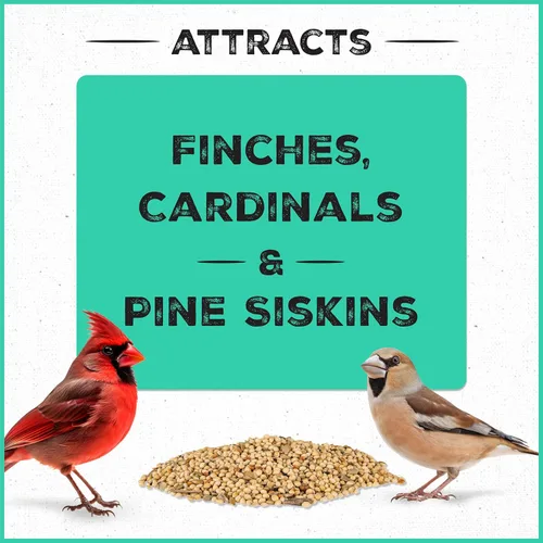 Vista 3 de Pennington - Pride Wild Finch - Mezcla de semillas para pájaros silvestres, 10 libras