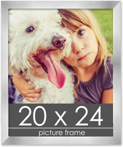 Vista 199 de Marco de madera de peltre plateado de 19 x 25 pulgadas con plexiglás acrílico UV, respaldo de tablero de espuma y accesorios incluidos