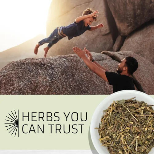 Vista 5 de Evergreen Herbs Pericon - Santa María 8 oz. - Bolsa de pie resellable para garantizar la frescura