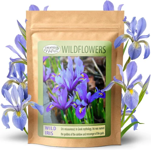 Created By Nature Wild Iris Seeds, 400 semillas de flores perennes moradas