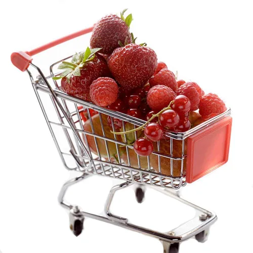 Shindel Mini Carrito de Compras para Niños, Juego de Simulación de Tienda de Comestibles para Niños Pequeños, Carrito de Mano Trolley de