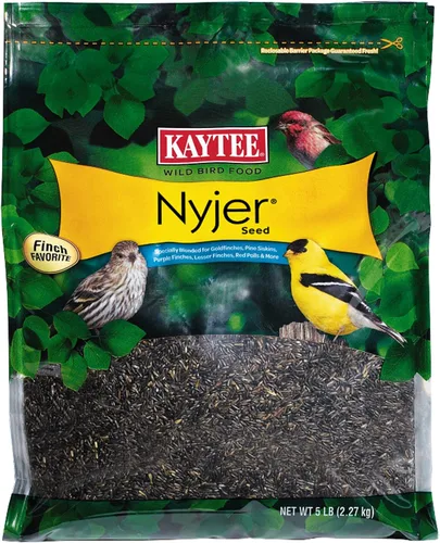 Vista 15 de Kaytee Nyjer - Semilla de comida para pájaros silvestres, 3 libras