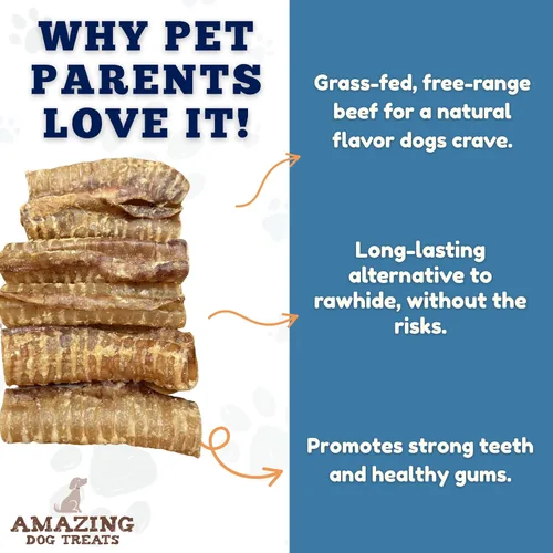 Vista 3 de Amazing Dog Treats - Masticables para perros con tráquea de carne de res de 6 pulgadas (5 piezas - 8 onzas) - Golosinas para perros de tráquea - SIN