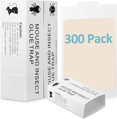 Vista 8 de Qualirey Tablas de pegamento para ratones e insectos, trampas de pegamento para plagas, trampa de ratones grandes para ratones, arañas, polillas