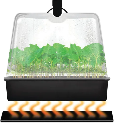Vista 4 de Super Sprouter estación de propagación con bóveda de 7 pulgadas, Premium Propagation Kit con luz T5