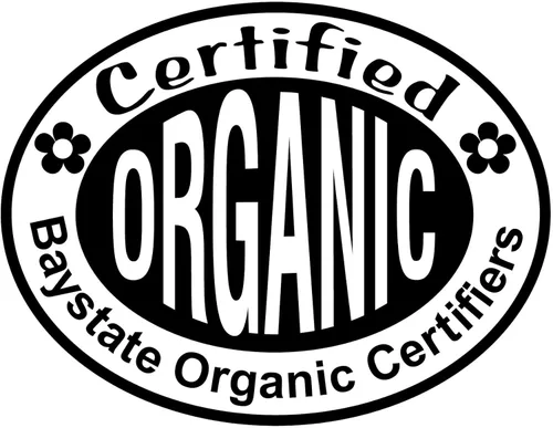 Vista 5 de Bayas de especias frescas (Lindera Benzoin) 10 bayas - Benjamin Bush, Spicebush común, Spice arush, Carencro Bush