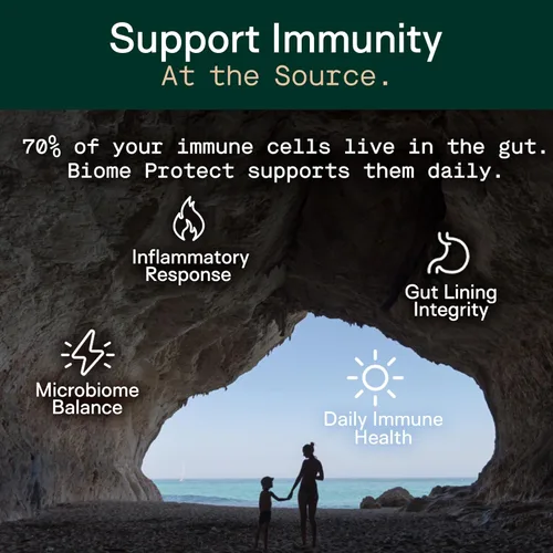 Vista 5 de Adapt Naturals - Prebióticos 4 en 1 para proteger el bioma, suplemento de probióticos, postbióticos y polifenoles para microbioma, salud intestinal