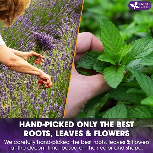 Vista 665 de FreshDrinkUS, 135 bolsas de té de jengibre y cúrcuma premium, ingredientes 100% naturales, mezcla hecha a mano de té de hierbas de cúrcuma