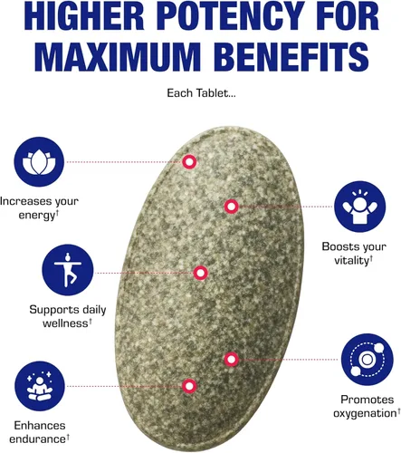 Vista 7 de Suplemento de hierro de liberación lenta con vitamina C, hierro suave de alta absorción con vitamina C para mujeres con complejo de metilo B