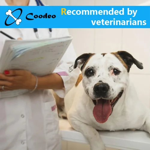 Vista 4 de Coodeo Soporte de espalda para perros para artritis, soporte de espalda para mascotas para IVDD, protector de espalda ayuda a aliviar el dolor