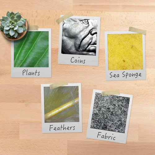 Vista 6 de Plugable Microscopio digital USB 250x, microcámara de 2MP con soporte de brazo flexible, microscopio USB y USB-C de mano para adultos y niños