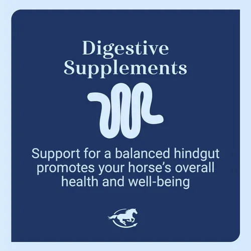 Vista 5 de Gut™ Pellets Probióticos intestinales saludables para caballos Prebiótico equino y probiótico Suplemento para estómago de caballo 2.7 libras