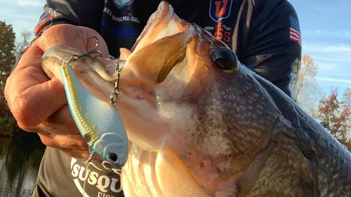 Vista 3 de Nomad Design Swimtrex Señuelo de pesca con vibración sin labios con sistema patentado de ajuste automático, acción realista de pez cebo, movimiento