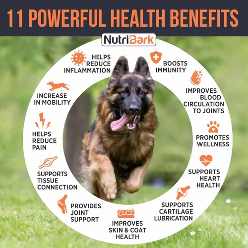Vista 2 de Glucosamina para perros – 1000 mg – Suplemento para articulaciones de perros mayores – Masticables avanzados de apoyo para la cadera
