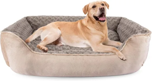 Vista 14 de JOEJOY - Cama rectangular para perros grandes, medianos y pequeños - Cama de sofá ortopédica lavable, suave y transpirable, para cachorros