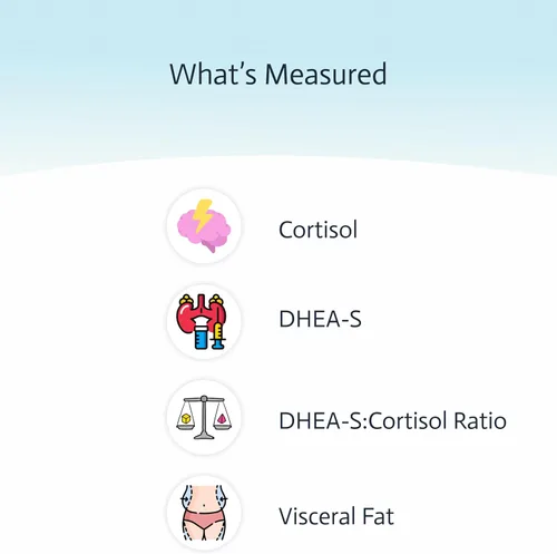 Vista 2 de Prueba de cortisol y DHEA-S 4 en 1 Prueba de sueño Prueba de estrés Prueba de salud y función adrenal Grasa visceral Laboratorio