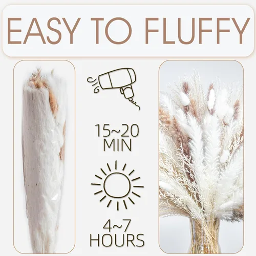 Vista 6 de 300PCS Hierba de Pampas Seca Natural Decoración del Hogar Boho Ramo Phragmites Ramo de Flores Secas para Arreglos Florales de Boda Decoraciones