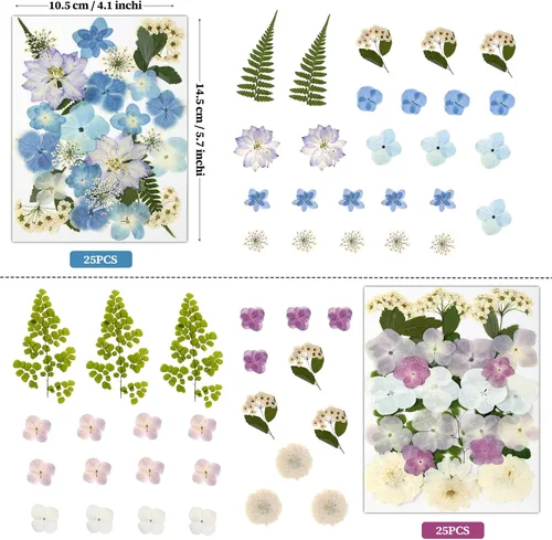 Vista 4 de 100 piezas de flores prensadas secas de hortensias para manualidades de Hortensia 100pcs
