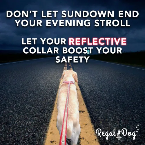 Vista 8 de Regal Dog Products Reflective Dog Collar with Custom Engraved Name Plate Waterproof Biothane Personalized Dog Collars with D Ring & Double Buckle