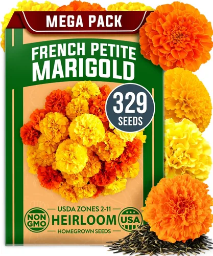 Vista 37 de Bóveda de 15 semillas de hierbas culinarias – Más de 4500 semillas criollas sin transgénicos para plantar – Jardín de hierbas para interiores