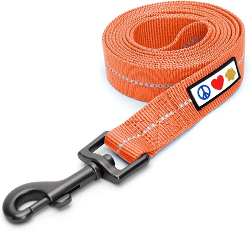 Vista 77 de Pawtitas - Correa personalizada de 6 pies para perro rosa XS/S con nombre y número de teléfono bordados, correa fuerte de nylon para razas pequeñas