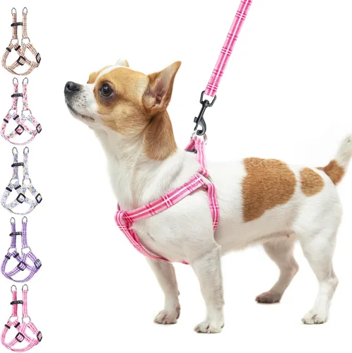 Vista 12 de BEAUTYZOO Juego de arnés y correa para perro, arnés ajustable para cachorros, chaleco de nailon suave a prueba de escapes con doble anillo en D