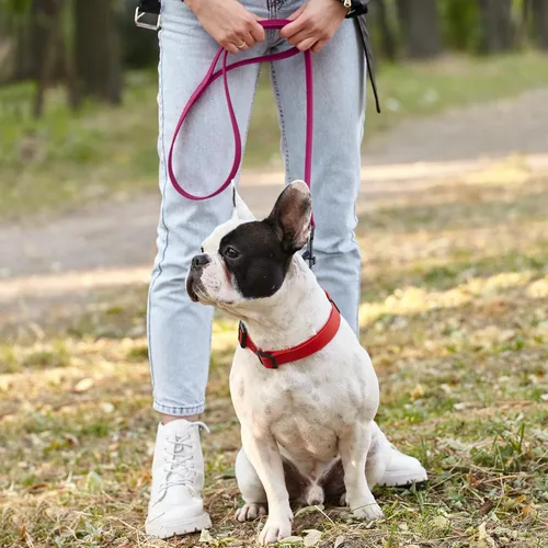 Vista 8 de Dogline Biothane - Correa impermeable para perro, correa de nailon con revestimiento fuerte, con herrajes negros, a prueba de olores, fácil