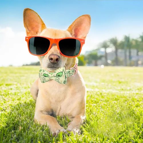 Vista 6 de Collar ajustable con moño para perros con patrones bonitos estampados, collares suaves para mascotas para perros pequeños, medianos y grandes