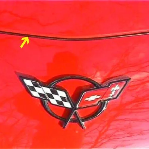 Vista 2 de C5 Corvette sello para el cofre, se adapta a todos los Corvettes desde el 97 al 04