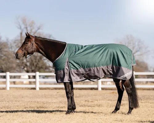 Vista 4 de Professional's Choice Manta de invierno 1200D