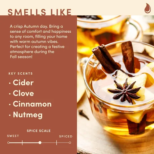 Vista 2 de Wax & Wit Hello Fall Velas perfumadas para el hogar – Nuez moscada, Clavo, Canela, Sidra – Regalos perfectos de decoración del hogar para otoño