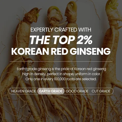 Vista 3 de JungKwanJang Everytime Korean Red Ginseng Extract Limited Stick – Bebida energética de raíz de ginseng panax rojo de grado terrestre – Suplementos