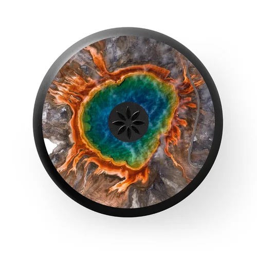 Vista 37 de Estuche para alineador y retenedor Invisalign, Porta retenedor Oso