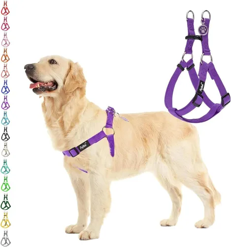 Vista 23 de Pupteck - Arnés para perros sin jalar, suave, ajustable, de nailon, talla básica, chaleco para cachorro, para caminar al aire libre con etiqueta