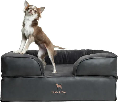 Vista 19 de NOAH & PAW Cama pequeña para perros, 20 x 15 x 8 pulgadas, cama para gatos de interior, espuma viscoelástica ortopédica de cáscara de huevo
