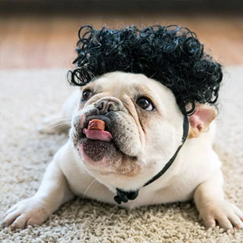 HOWWFALY Disfraz de perro ropa para gato juguetes para perros trenzas rizadas diademas pelucas peinados lindos accesorios divertidos para mascotas