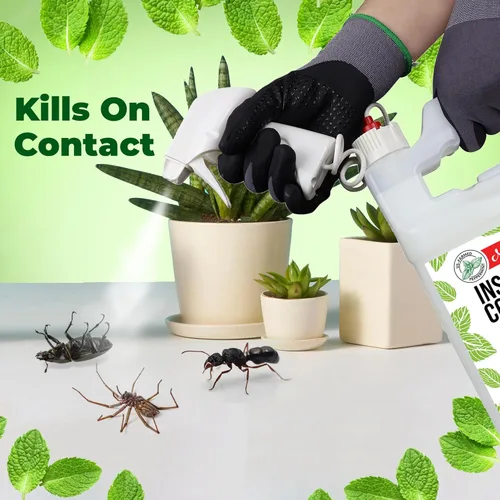 Vista 3 de Mighty Mint Aceite de menta repelente de insectos en aerosol – Control natural de insectos en interiores y exteriores para arañas, hormigas