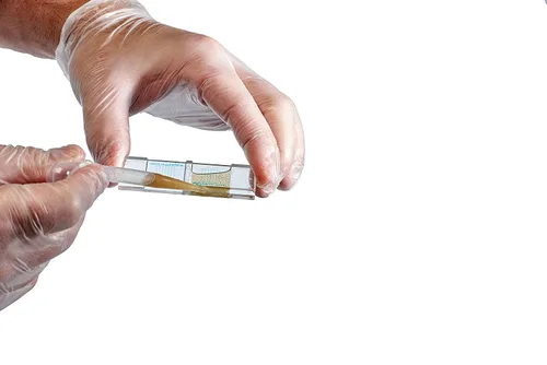 Vista 3 de Paquete de 2 portaobjetos de microscopio McMaster, FEC (recuento de huevos fecales) de doble cámara para pruebas de parásitos, huevos de parásitos