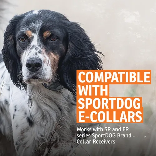 Vista 4 de SportDOG NoBark - Collar antiladridos Silent Partner Bark-Only Detection, 8 Progressive Static Levels, DryTek Waterproof, Replaceable Battery, Dogs