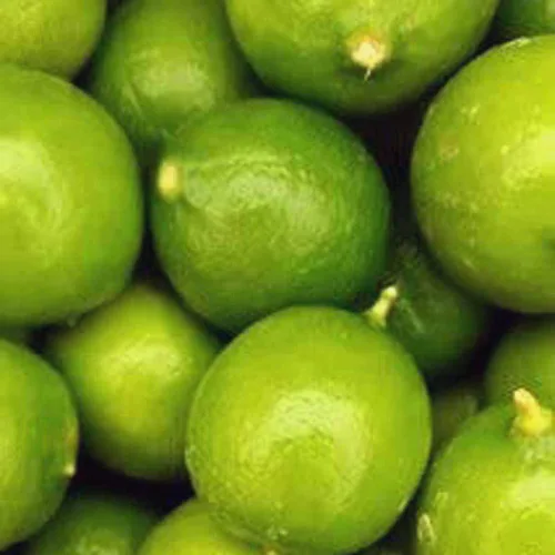 Limas frescas Melissa's (5libras)