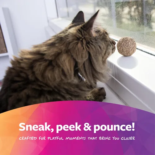 Vista 5 de SmartyKat Catnip - Juguetes para gatos