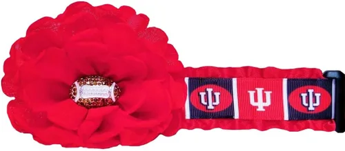 Vista 2 de Indiana Hoosier Dog Collar