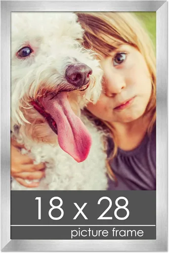 Vista 299 de Marco de madera de peltre plateado de 19 x 25 pulgadas con plexiglás acrílico UV, respaldo de tablero de espuma y accesorios incluidos