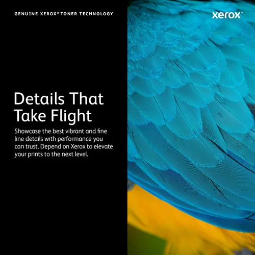 Vista 3 de Xerox Phaser 6510/Workcentre 6515 - Cartucho de tóner cian de capacidad extra alta (4.300 páginas) - 106R03690