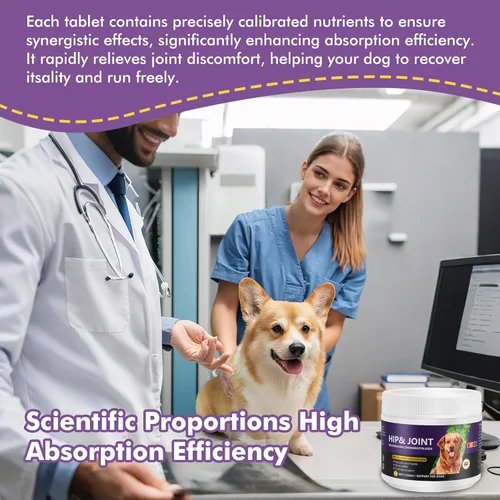 Vista 6 de Glucosamina Condroitina MSM - Tabletas masticables para perros - Suplemento de apoyo para cadera y articulaciones con vitaminas, sabor a pollo